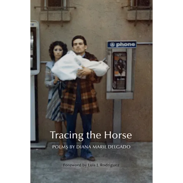 Tracing the Horse