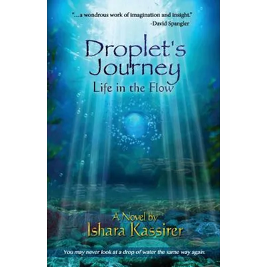 Droplet's Journey: Life in the Flow