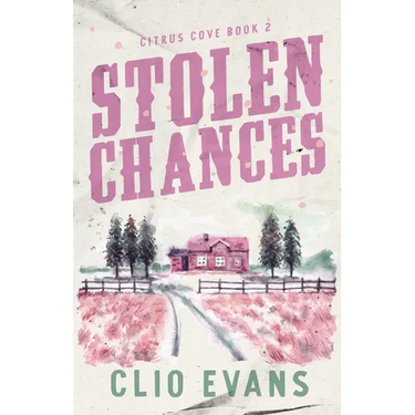 Stolen Chances: A Single Mom, MMF, Small Town Romance Suspense