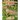PATAGONIAN MARA Do Your Kids Know This?: A Children's Picture Book