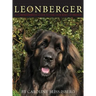 The Leonberger: A Comprehensive Guide to the Lion King of Breeds