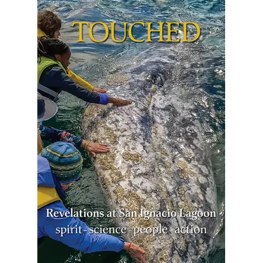 Touched / Tocado: Revelations at San Ignacio Lagoon: Spirit, Science, People, Politics