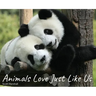 Animals Love Just Like Us