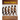 Human Origins: The Emergence and Evolution of the Human Species