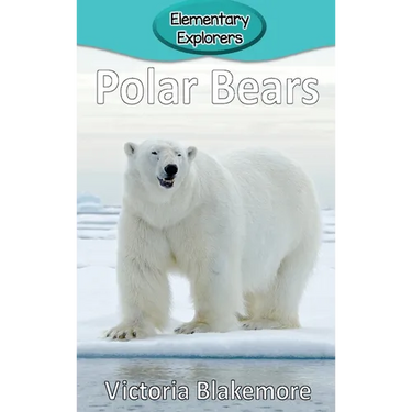 Polar Bears
