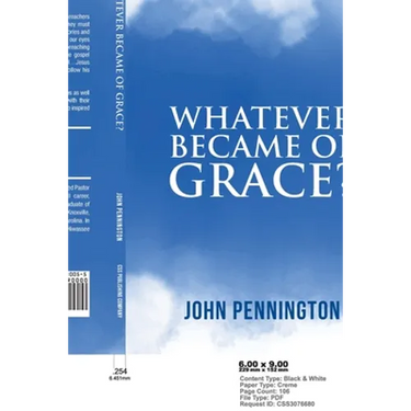Whatever Became of Grace?: Stories of Hope for Preaching and Teaching in a Graceless World