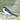 Good Morning, Birds: How The Birds Of Ethiopia Greet The Day in Anuak and English