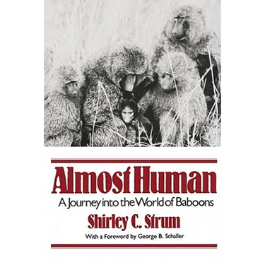 Almost Human: A Journey Into the World of Baboons