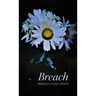 Breach
