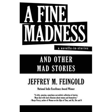 A Fine Madness: A Novella in Stories and Other Mad Stories