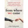 from where we came: a physicist's perspective on human origin, adaptation, proliferation, and development