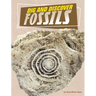 Dig and Discover Fossils