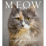 Meow: A Book of Happiness for Cat Lovers