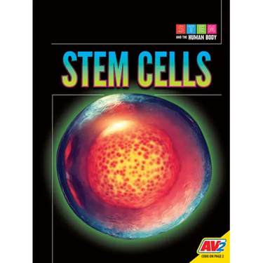 Stem Cells