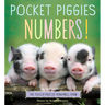 Pocket Piggies Numbers!: Featuring the Teacup Pigs of Pennywell Farm