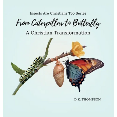 From Caterpillar to Butterfly: A Christian Transformation