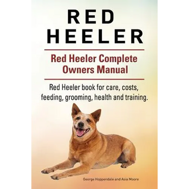 Red Heeler Dog. Red Heeler dog book for costs, care, feeding, grooming, training and health. Red Heeler dog Owners Manual.