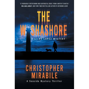 The Washashore: A Seaside Mystery Thriller