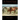 The Natural Horse: Lessons From the Wild