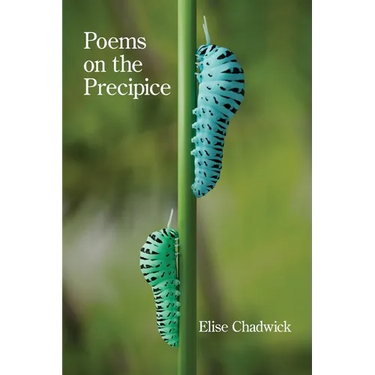 Poems on the Precipice