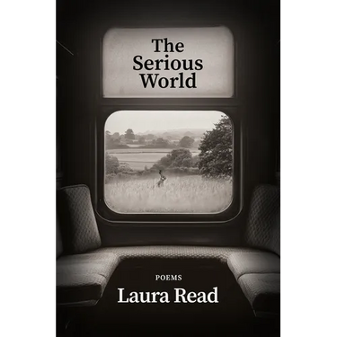 The Serious World