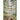 Prose on the Path - A Journey of Self Discovery