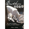 Brother Wolf: The Wolf of Gubbio A Story of St Francis