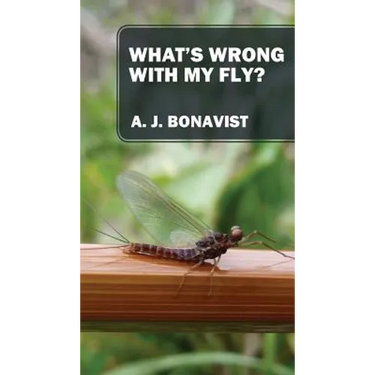 What's Wrong With My Fly?