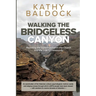 Walking the Bridgeless Canyon: Repairing the Breach between the Church and the LGBTQ Community