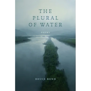 The Plural of Water: Poems