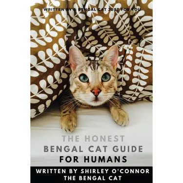 The Honest Bengal Cat Guide for Humans: Bengal Cat and Kitten Care