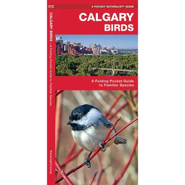 Calgary Birds: A Folding Pocket Guide to Familiar Species