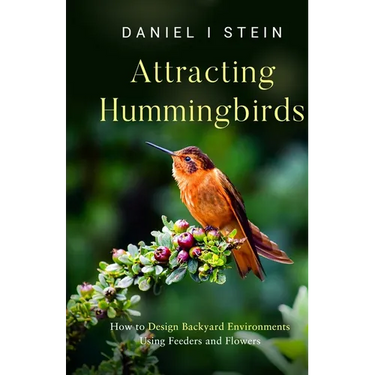 Attracting Hummingbirds: How to Design Backyard Environments Using Feeders and Flowers