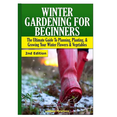 Winter Gardening for Beginners