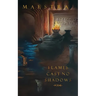 Flames Cast No Shadows: Poems
