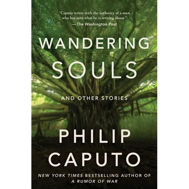 Wandering Souls: And Other Stories