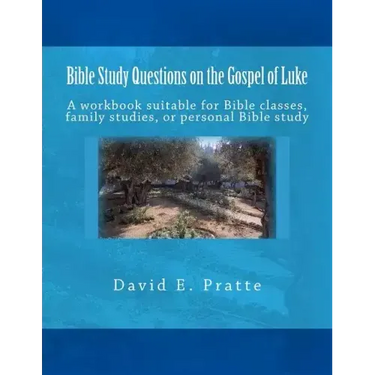 Bible Study Questions on the Gospel of Luke: A workbook suitable for Bible classes, family studies, or personal Bible study