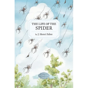 The Life of the Spider