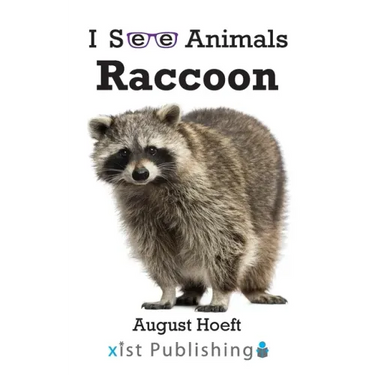 Raccoon