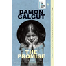 The Promise: A Novel (Booker Prize Winner)