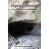 Indigenous Epistemology: Descent Into the Womb of Decolonized Research Methodologies