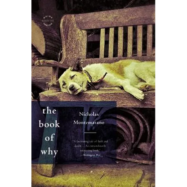 The Book of Why