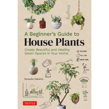 A Beginner's Guide to House Plants: Creating Beautiful and Healthy Green Spaces in Your Home
