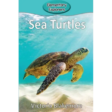 Sea Turtles