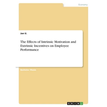 The Effects of Intrinsic Motivation and Extrinsic Incentives on Employee Performance