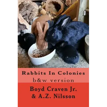 Rabbits In Colonies: Grayscale