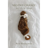 Second Chance: My Life in Things