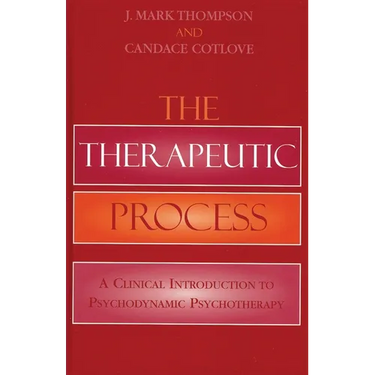 Therapeutic Process: A Clinical Introduction to Psychodynamic Psychotherapy