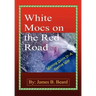White Mocs on the Red Road / Walking Spirit in a Native Way