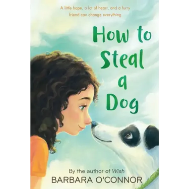 How to Steal a Dog
